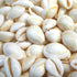creamy white cowrie shells 1 kg